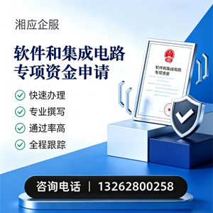 惠州软件和集成电路专项资金申报服务