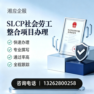 惠州SLCP社会劳工整合项目申报服务