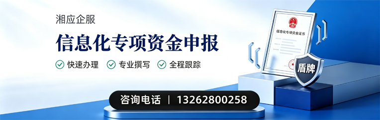 惠州信息化专项资金申报服务