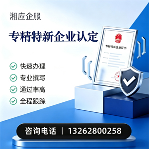 惠州专精特新企业申报服务
