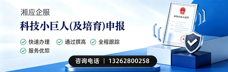惠州科技小巨人及培育企业申报服务