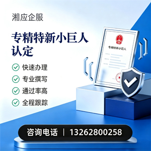 惠州专精特新小巨人申报服务