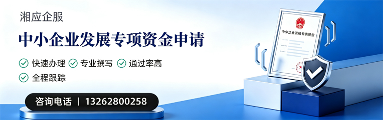 惠州中小企业发展专项资金申报服务