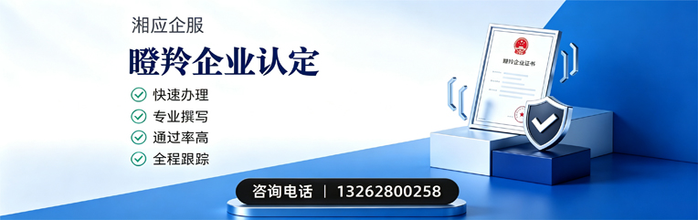 惠州瞪羚企业认定申报服务
