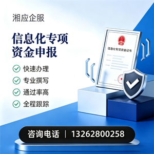 惠州信息化专项资金申报服务