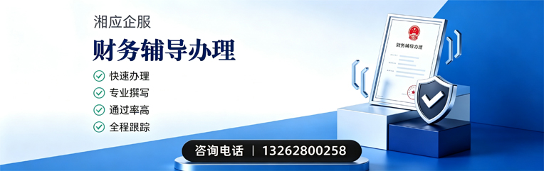 惠州财务辅导申请服务