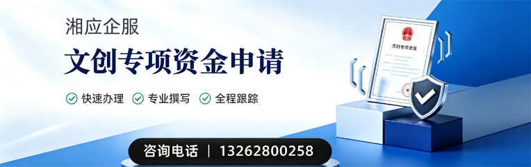 惠州文创专项资金申报服务