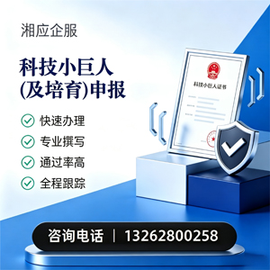 惠州科技小巨人及培育企业申报服务