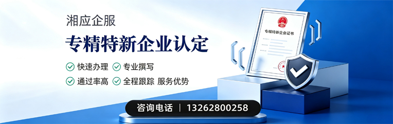 惠州专精特新企业申报服务