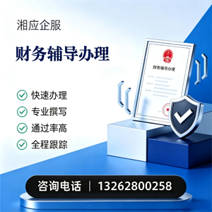 惠州财务辅导申请服务