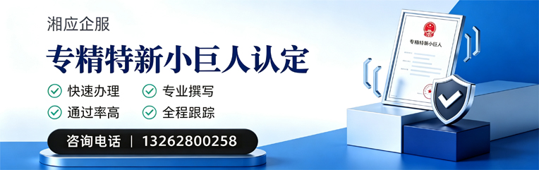 惠州专精特新小巨人申报服务
